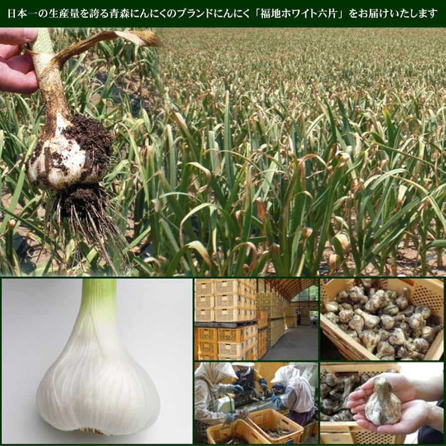 Amazon.co.jp: 青森県産にんにく C品 Mサイズ 1kg : 食品・飲料